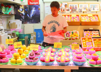 Japan’s Obsession With Luxury Fruit: Would You Pay $125 For A Melon?￼