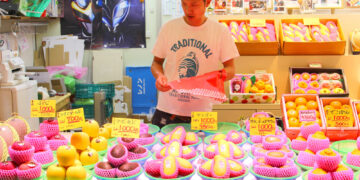 Japan’s Obsession With Luxury Fruit: Would You Pay $125 For A Melon?￼