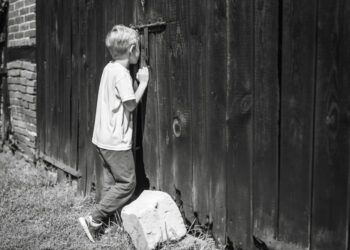 Curiosity Can Help Your Professional Growth