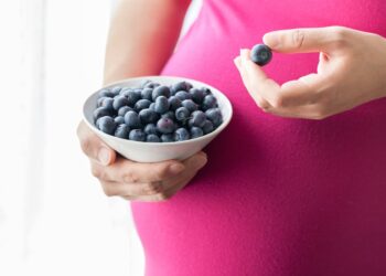 Blueberries: A Prenatal Superfood