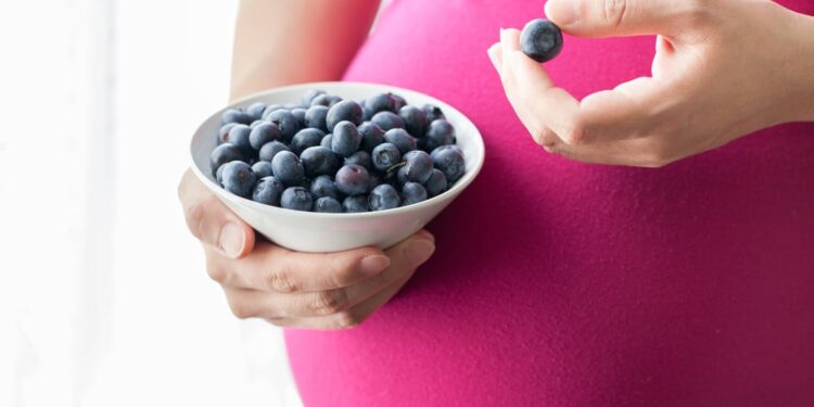 Blueberries: A Prenatal Superfood