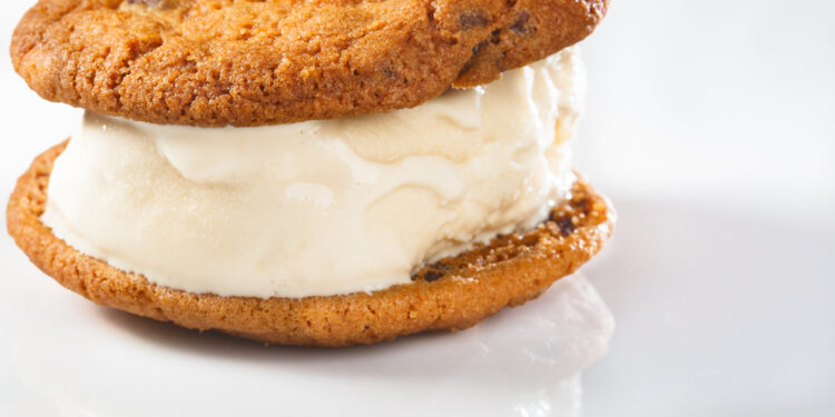 The healthy alternative to the ice cream cookie sandwich