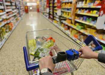 Steps To Shopping At Aldi