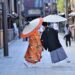 The History Behind the Tradition of the Kimono